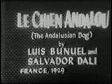 le-chien-andalou.jpg