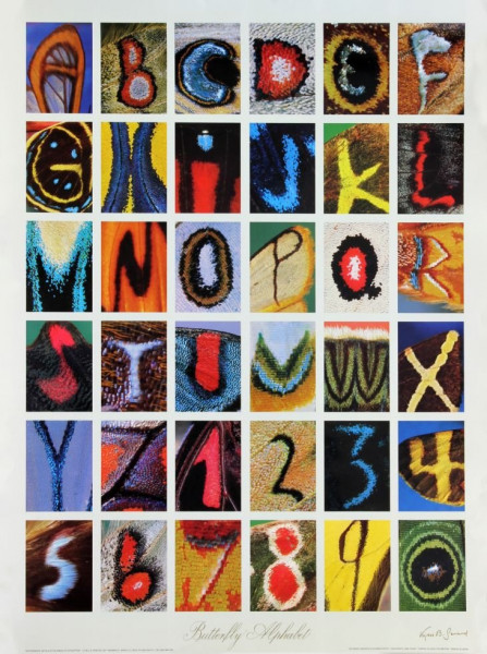 Butterfly Alphabet