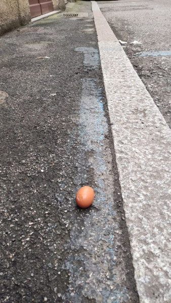Un uovo da marciapiede.jpg